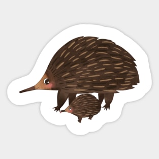 Echidna Sticker